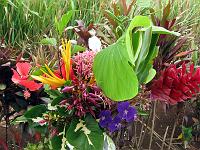 boquet_IMG_0573 