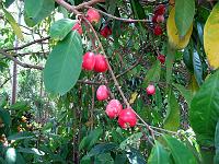 pomerak_IMG_0568