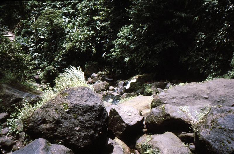 Untitled-Scanned-02 On our way to Trafalgar Falls.