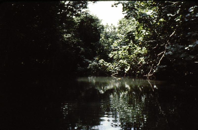 Untitled-Scanned-27 On our way up the Indian River.