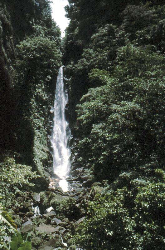 Untitled-TrueColor-17 Trafalgar Falls
