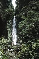 Untitled-TrueColor-17 Trafalgar Falls