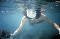 Ruth Follow Ruth Cousteau as she takes you on a fascinating tour of underwater Dominica in 1987.
