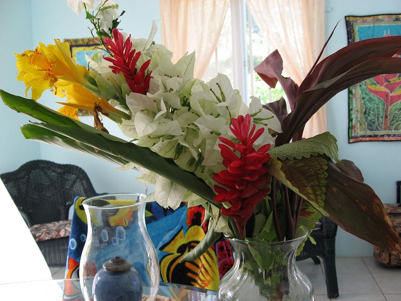IMG_0270 Bouquet has Heliconia sp., Alpinia purpurata, Jatropha podagrica, Plectranthus scutellarioides = Coleus blumei, Cordyline terminalis.
