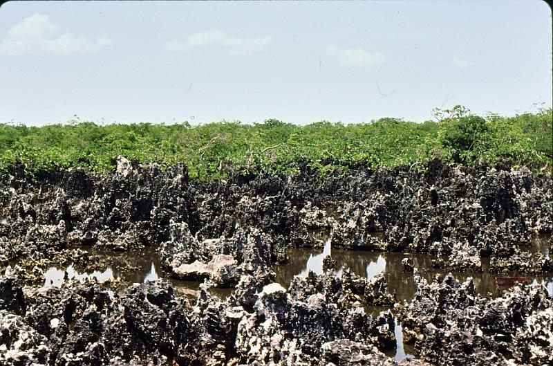 27-Hell The vista in the village of Hell (really).  Named because the soluble parts of the limestone have washed away, creating this forbidding terrain.