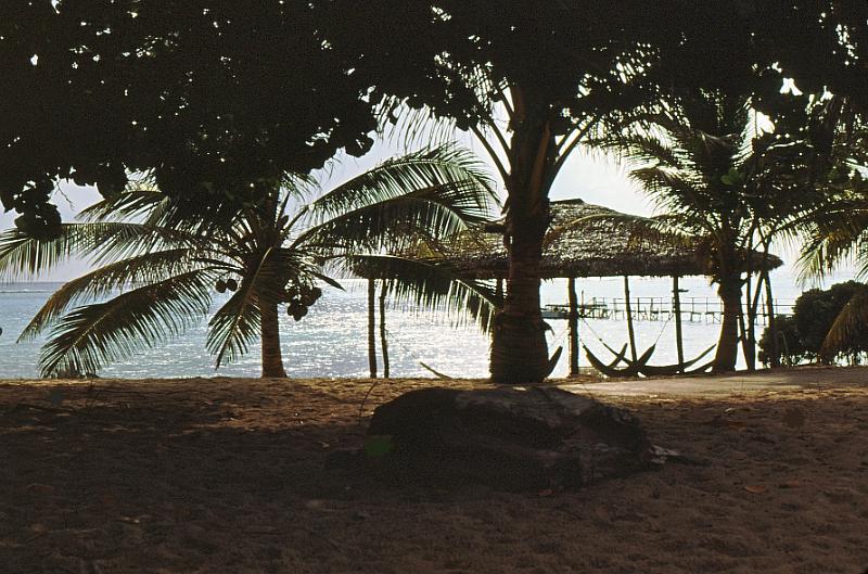 36-cabana Tortuga Club beach.