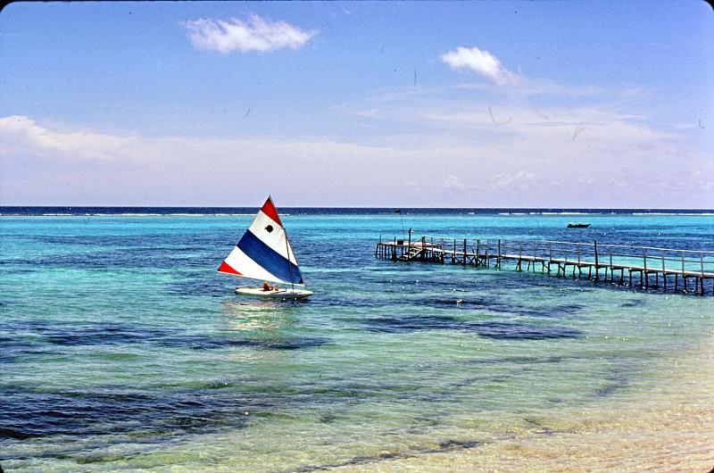 43_sunfish Sunfish sailing in the lagoon.