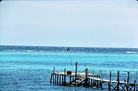 44-dock