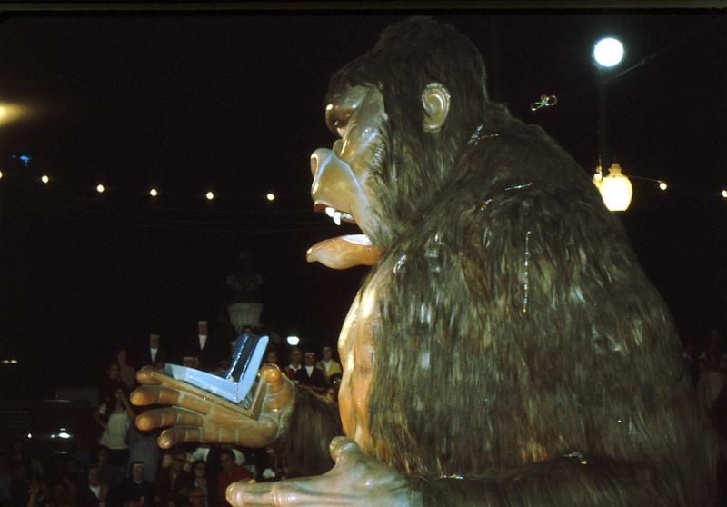 bacchus-24 King Kong