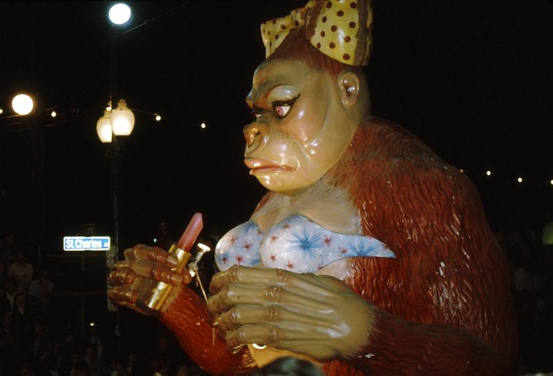 bacchus-25 Queen Kong