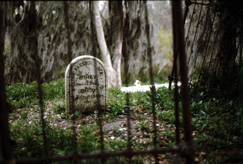 bayou-03 