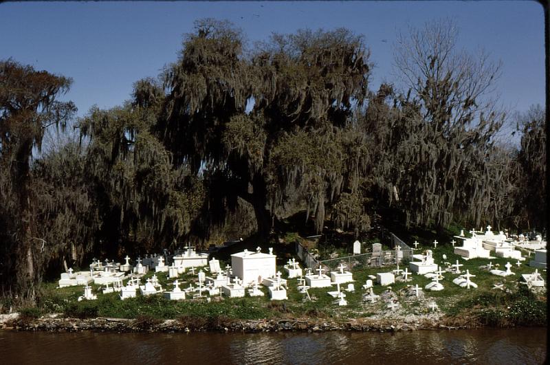 bayou-29 