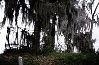 bayou-02