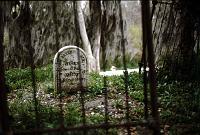 bayou-03