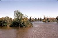 bayou-22 