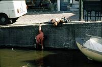 Leiden_boys_at_canal