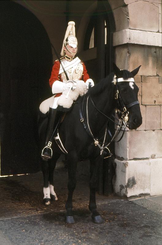Horse_Guard_2 