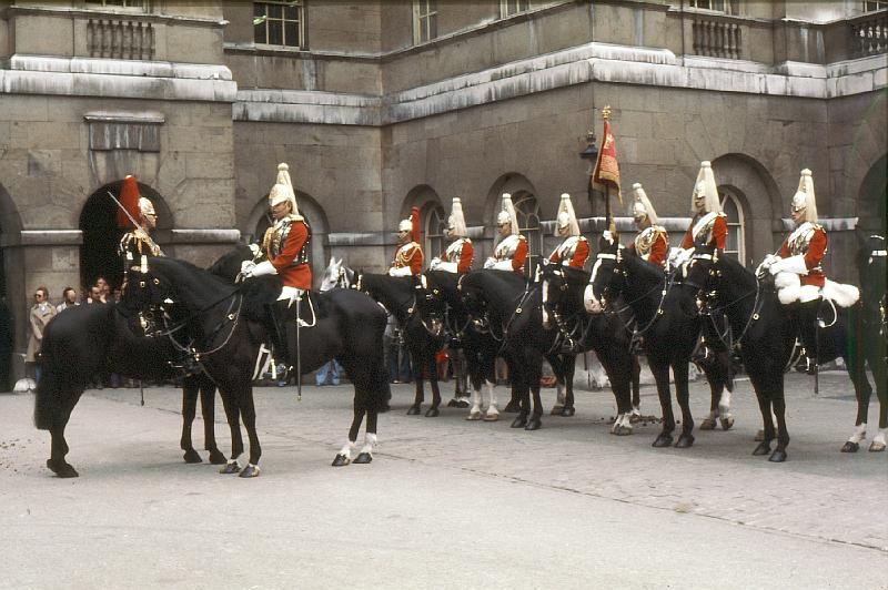 Horse_Guard_8 