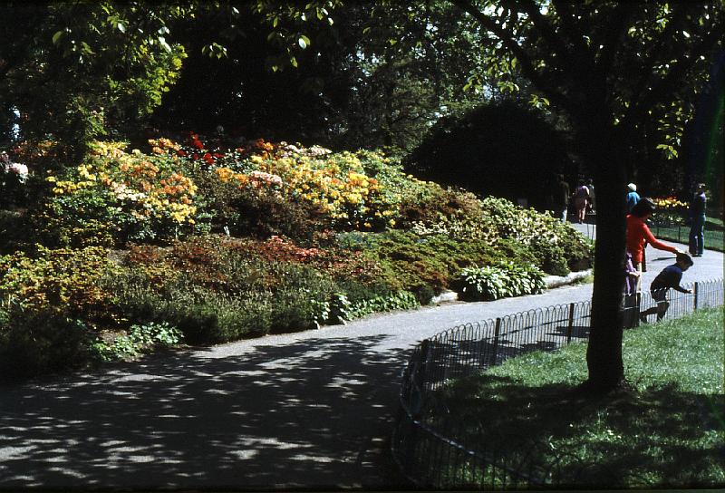 Regent's_Park_6 