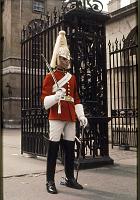 Horse_Guard_3
