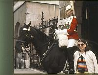 Horse_Guard_4_Ruth