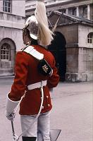 Horse_Guard_5