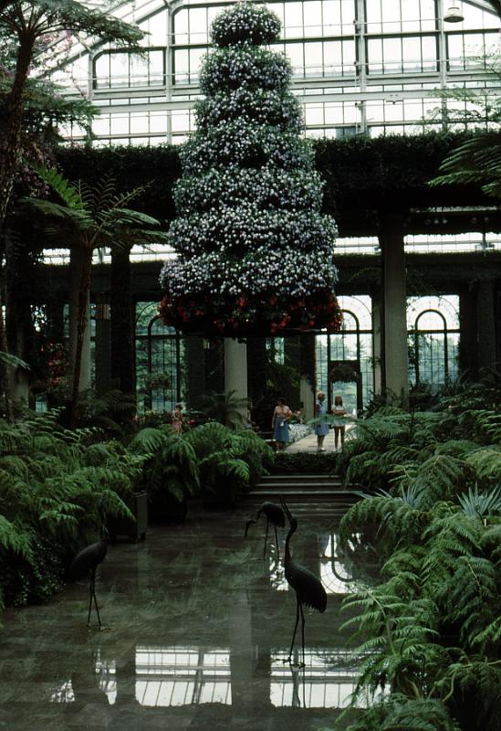 lg_31 Old East Conservatory