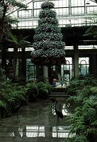 lg_31 Old East Conservatory