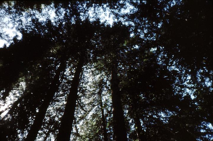 07 This is a cathedral!