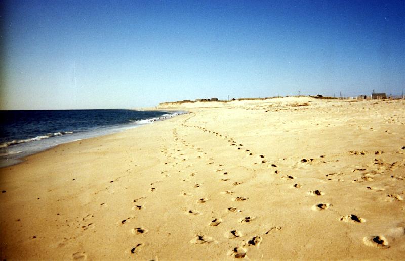 05 Someone's been here before us!  We saw seals here too.