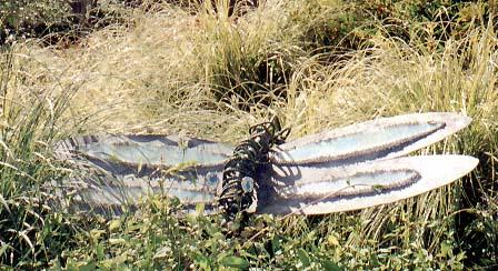 dragonfly Dragonfly sculpture.