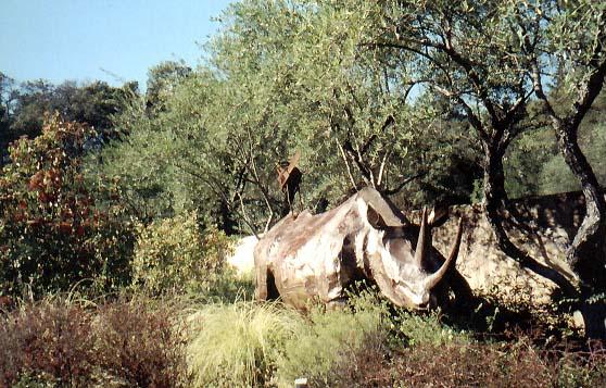 rhino Rhino with chainsaw “tick bird”.