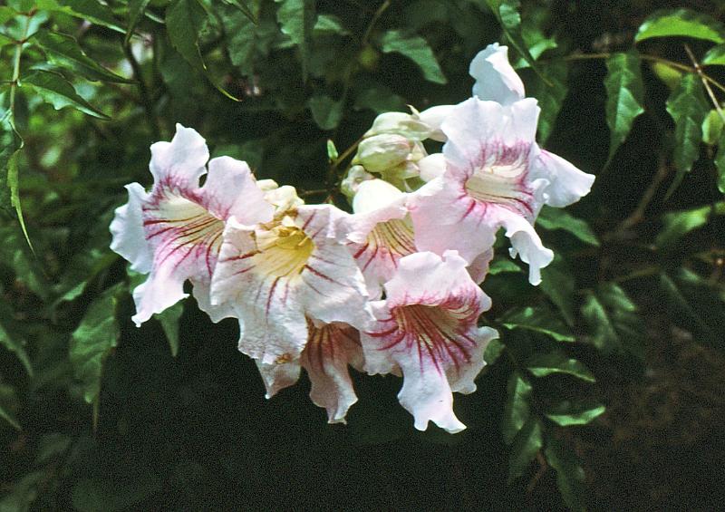 74 