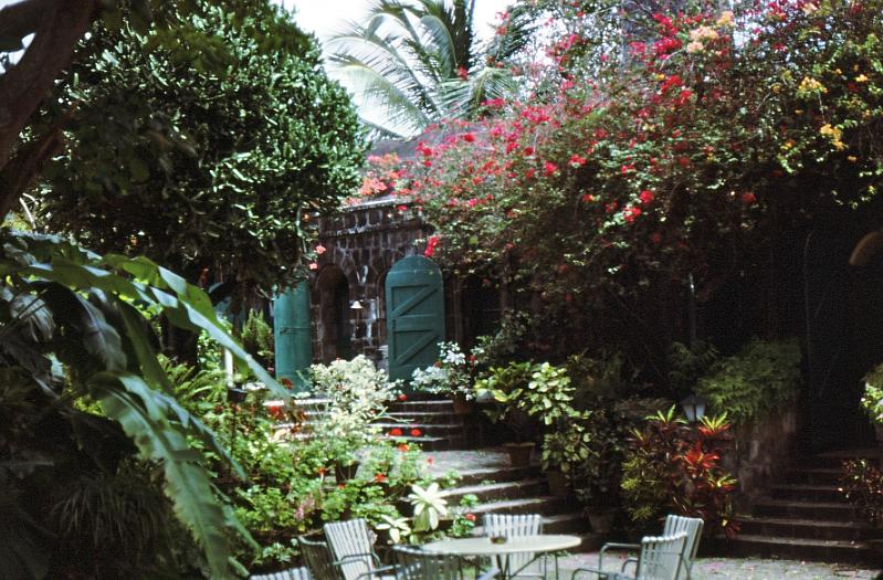 83-garden Garden at a restaurant.