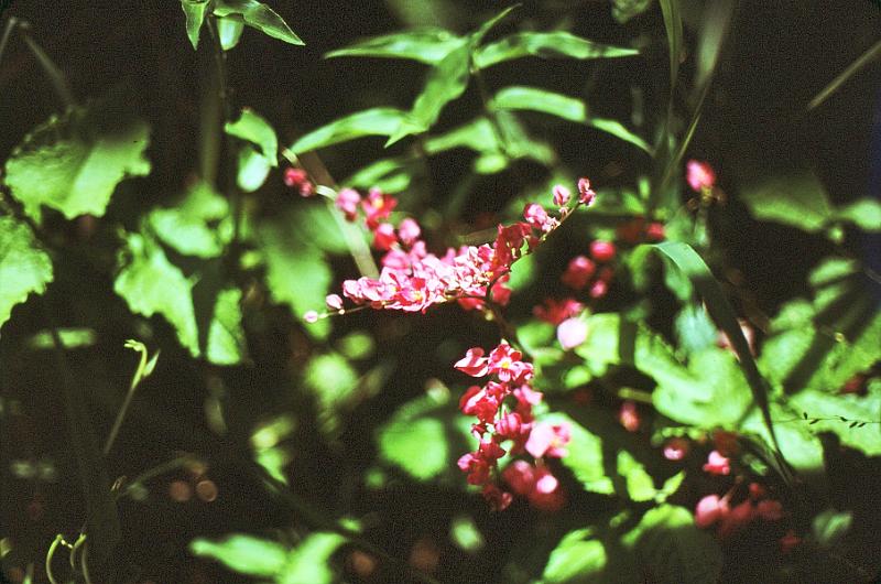 88 
