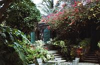 83-garden