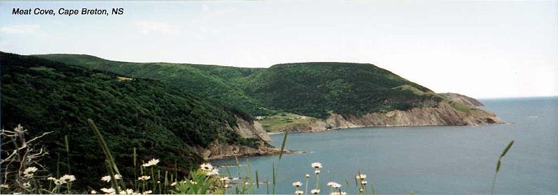 2-meatcove 