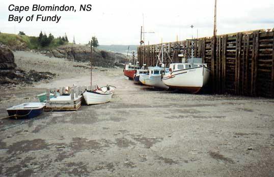 blomindon-1 