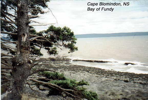 blomindon-2 