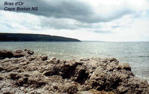 brasdor-1 