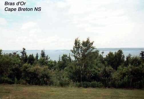 brasdor-2 