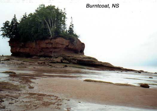 burntcoat-4 