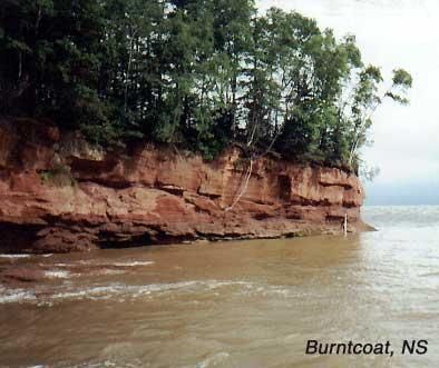 burntcoat-midtide-2 