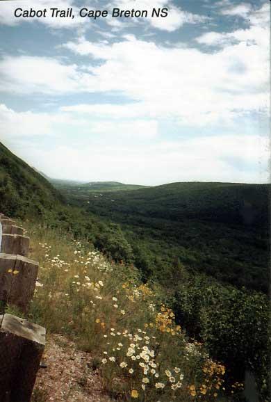 cabottrailflowers 