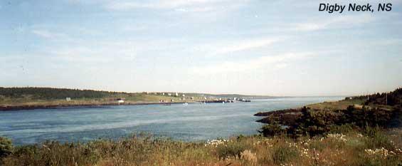 digbyneck-2 