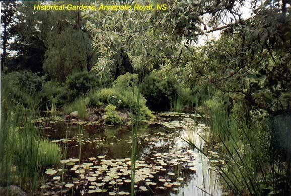 histgarden-13 