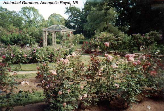 histgarden-2 