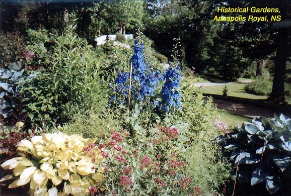 histgarden-9 