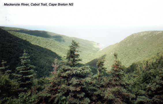 mackenzieriver 
