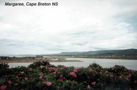 margaree-5 